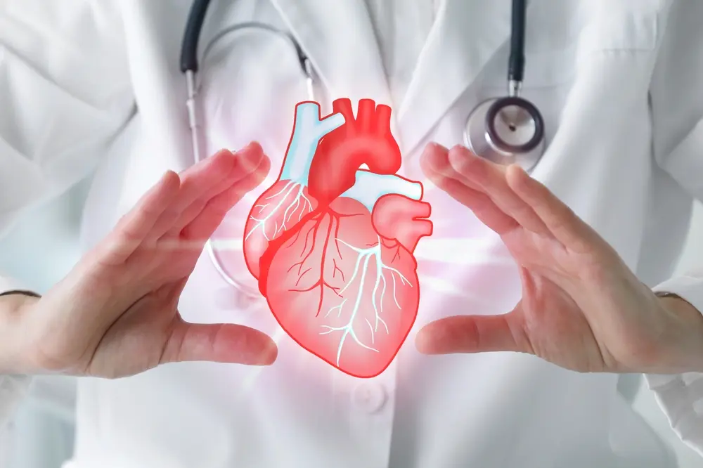 Cardiology