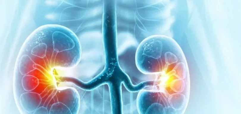 Urology